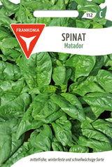 Frankonia Samen Spinat Matador