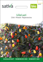 Sativa Chili Lila Luzi