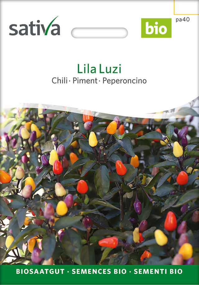Sativa Chili Lila Luzi