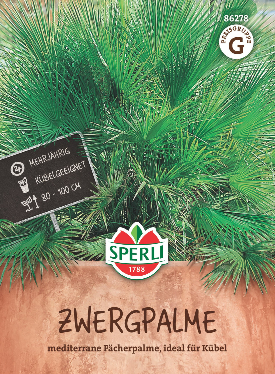 SPERLI Zwergpalme