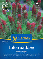 Kiepenkerl Gründünger Inkarnat- Rosenklee Loses Saatgut