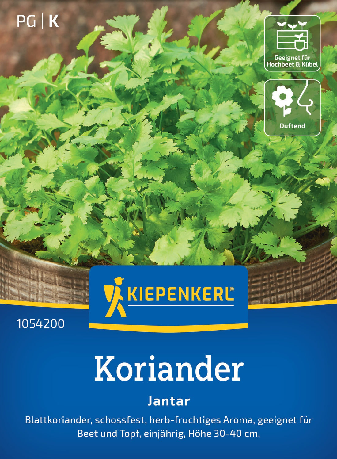 Kiepenkerl Koriander Jantar