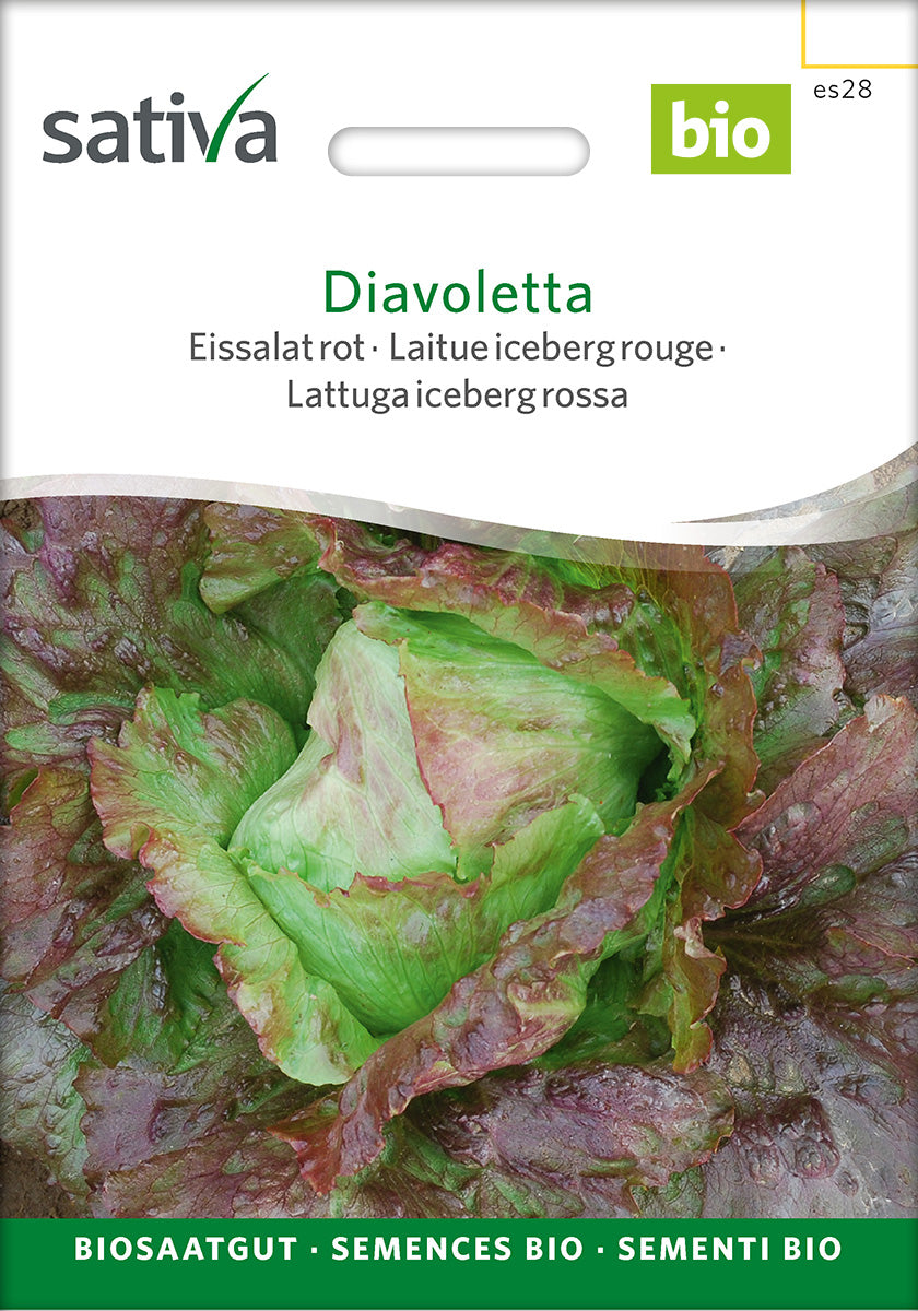 Sativa Eissalat rot Diavoletta