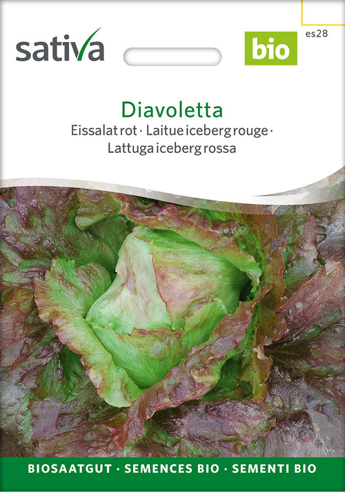 Sativa Eissalat rot Diavoletta