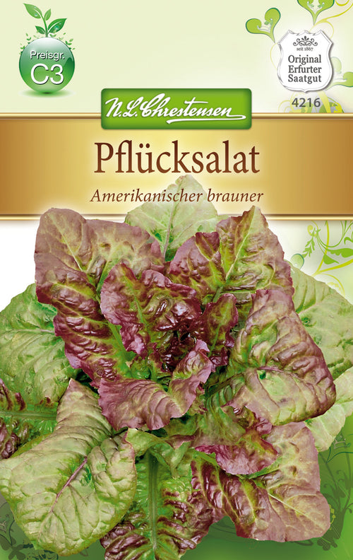 N.L. Chrestensen Pflücksalat Amerikanischer Brauner