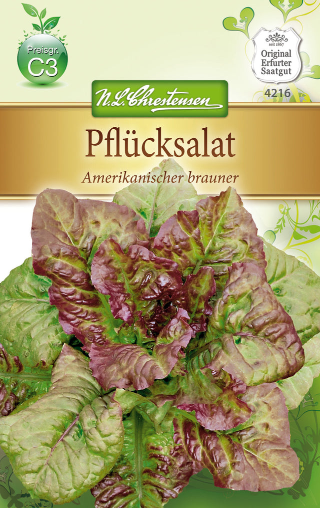 N.L. Chrestensen Pflücksalat Amerikanischer Brauner