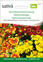 Sativa Sonnenbraut Farbmischung
