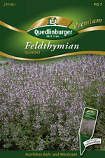 Quedlinburger Feldthymian Quendel