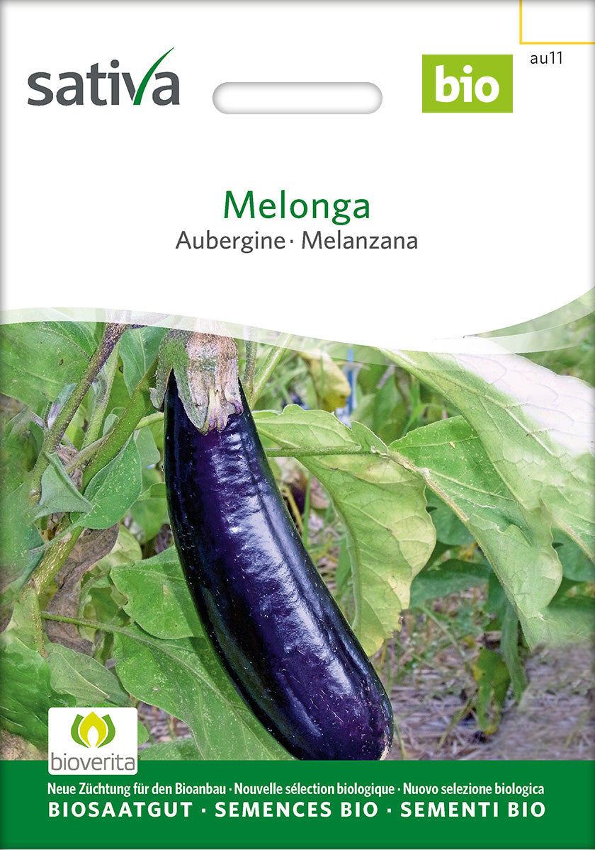 Sativa Aubergine Melonga
