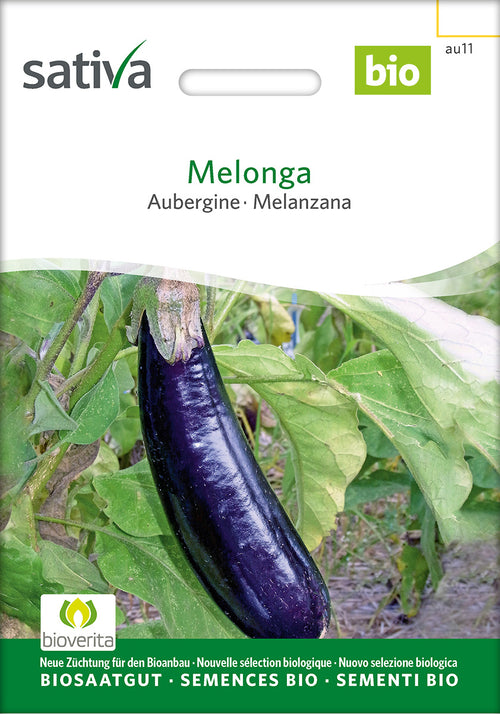 Sativa Aubergine Melonga