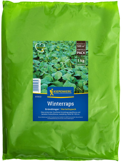 Kiepenkerl Gründünger Winterraps 1 kg