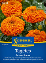 Kiepenkerl Studentenblumen Taishan Orange