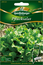 Quedlinburger Pflück-& Schnittsalat Oaker