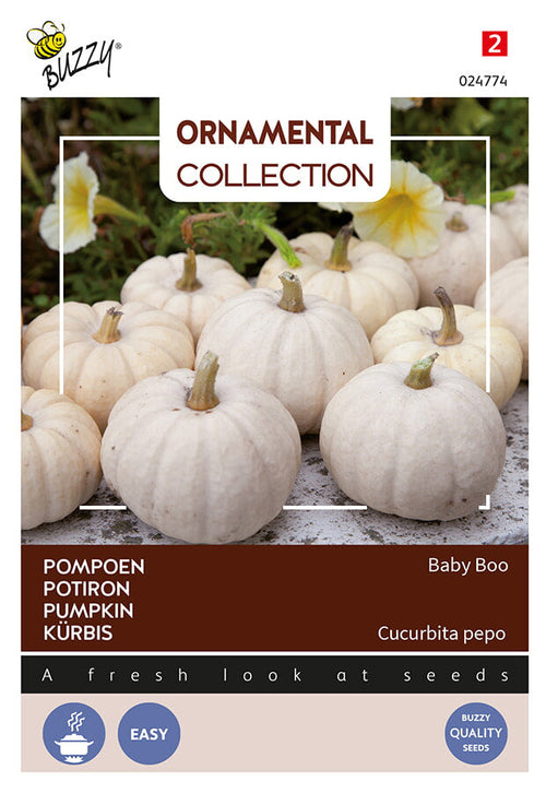 Buzzy Seeds Kürbis  Baby Boo