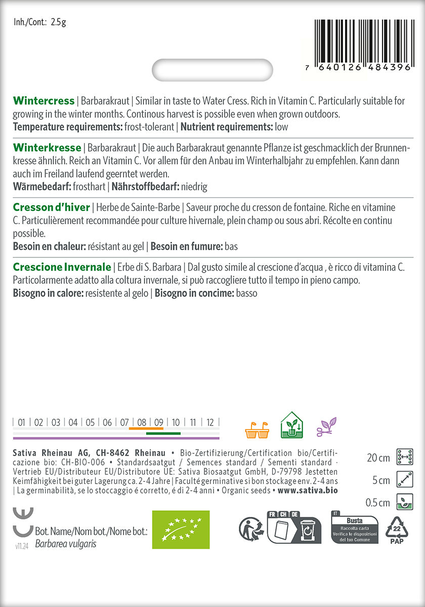 Sativa Barbarakraut Winterkresse