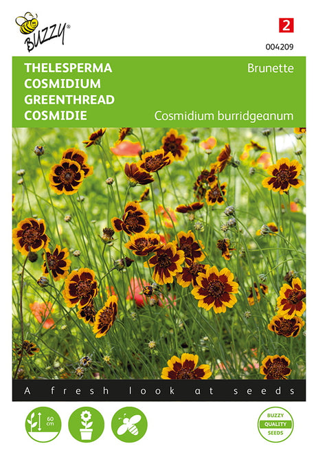 Buzzy Seeds Cosmidien Brunette