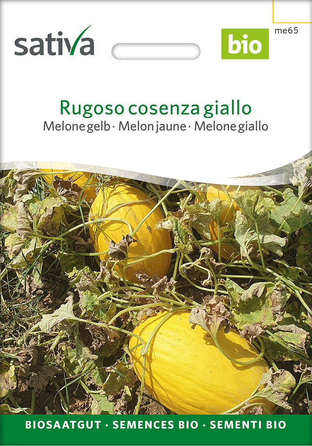 Sativa Melone gelb Rugoso cosenza giallo