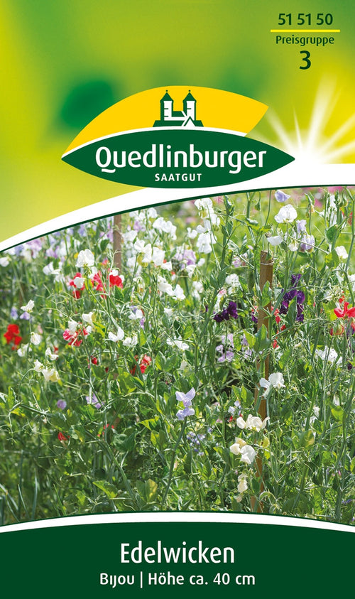 Quedlinburger Duftwicke Bijou Mischung