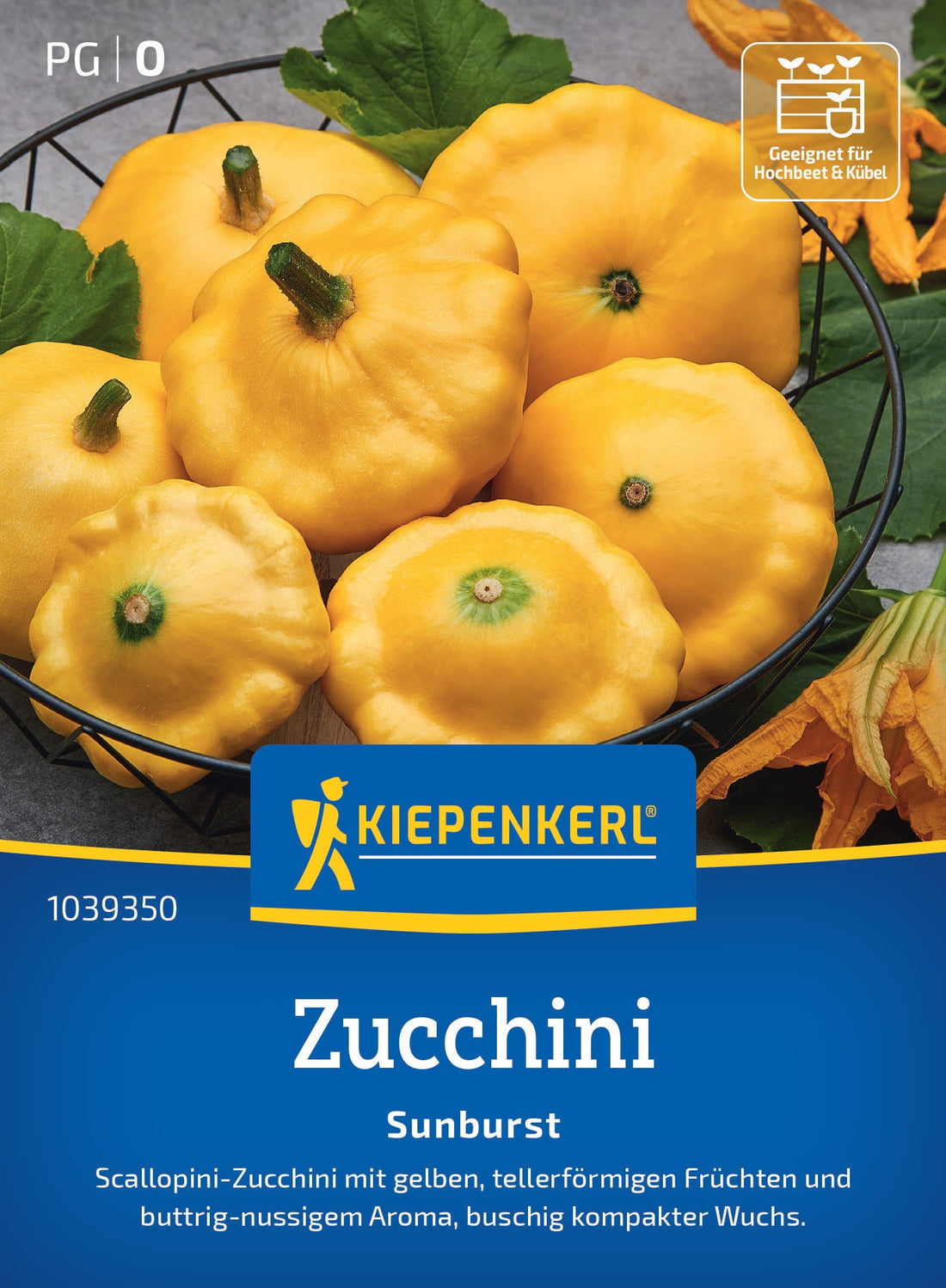 Kiepenkerl | Zucchini Sunburst | 10 Pflanzen | MHD: 01/2029