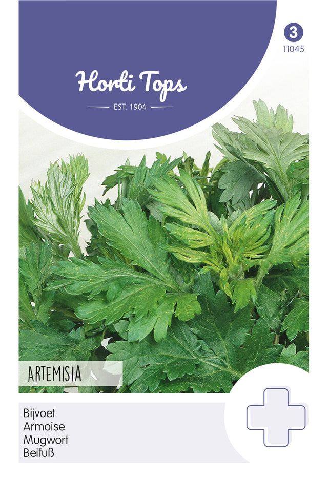 Horti Tops Beifuß
