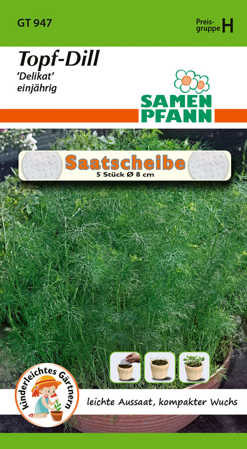 Samen Pfann Topf-Dill Delikat einjährig Saatscheibe