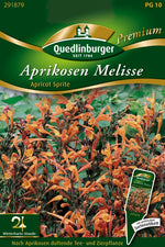 Quedlinburger Apriksoen Melisse Apricot Sprite