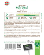 SPERLI Kopfsalat Dynamite