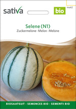 Sativa Zuckermelone Selene (N1)
