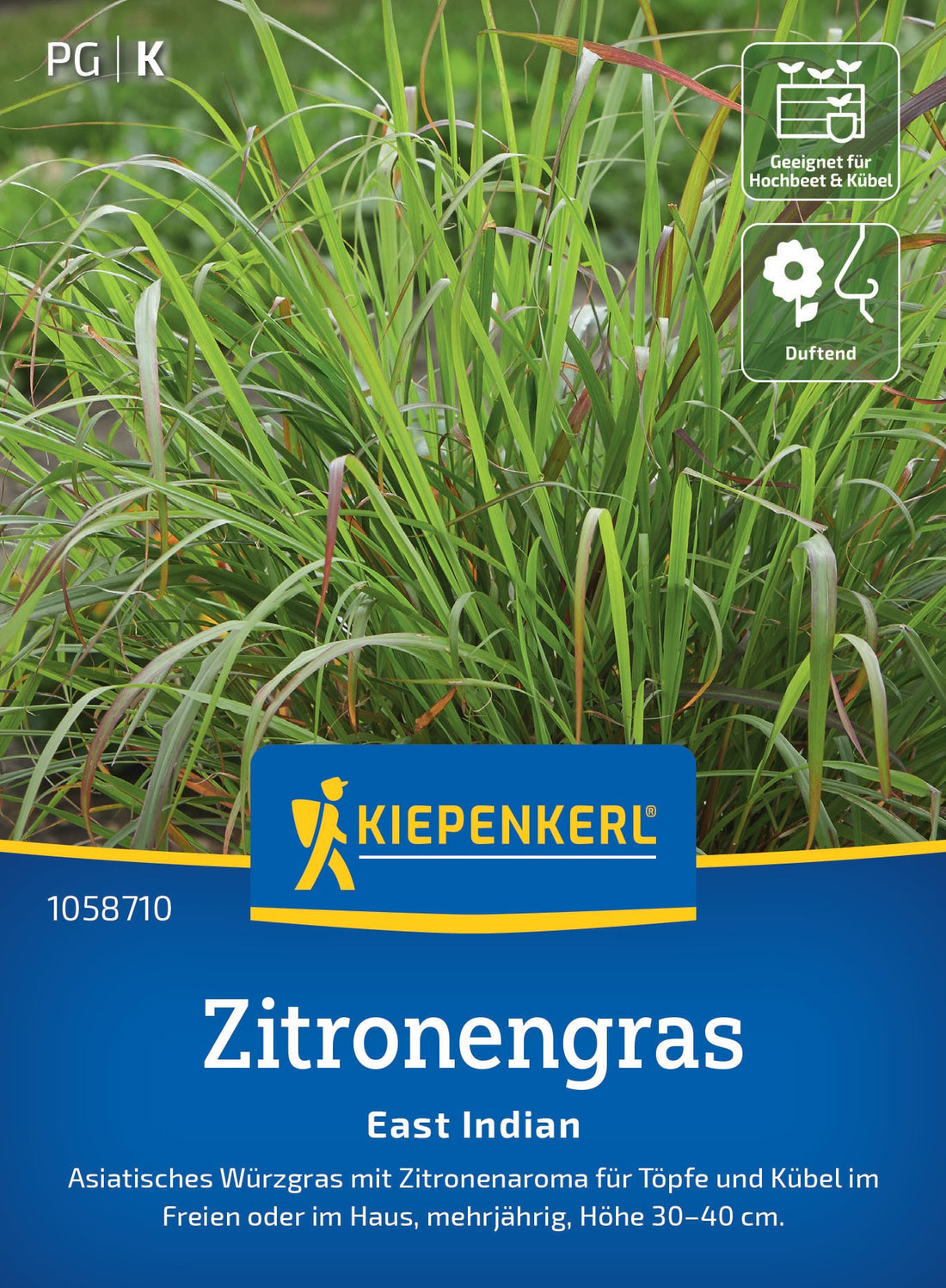 Kiepenkerl Zitronengras East Indian