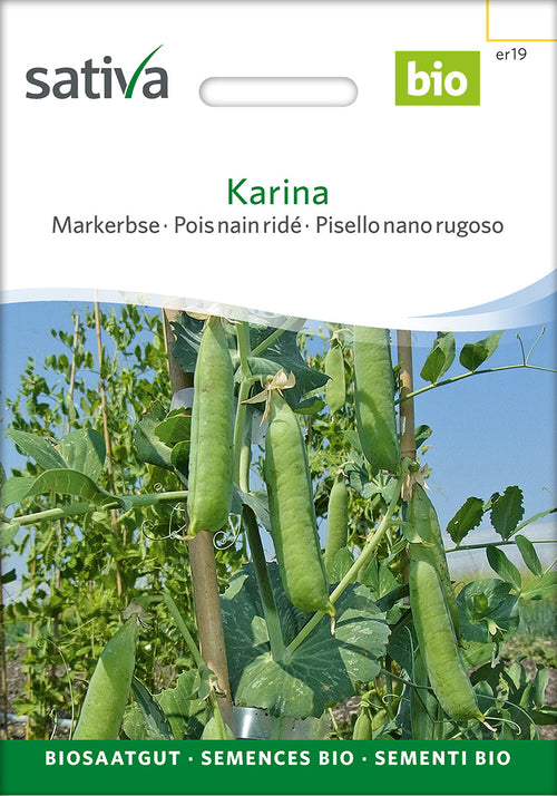 Sativa BIO Markerbse Karina