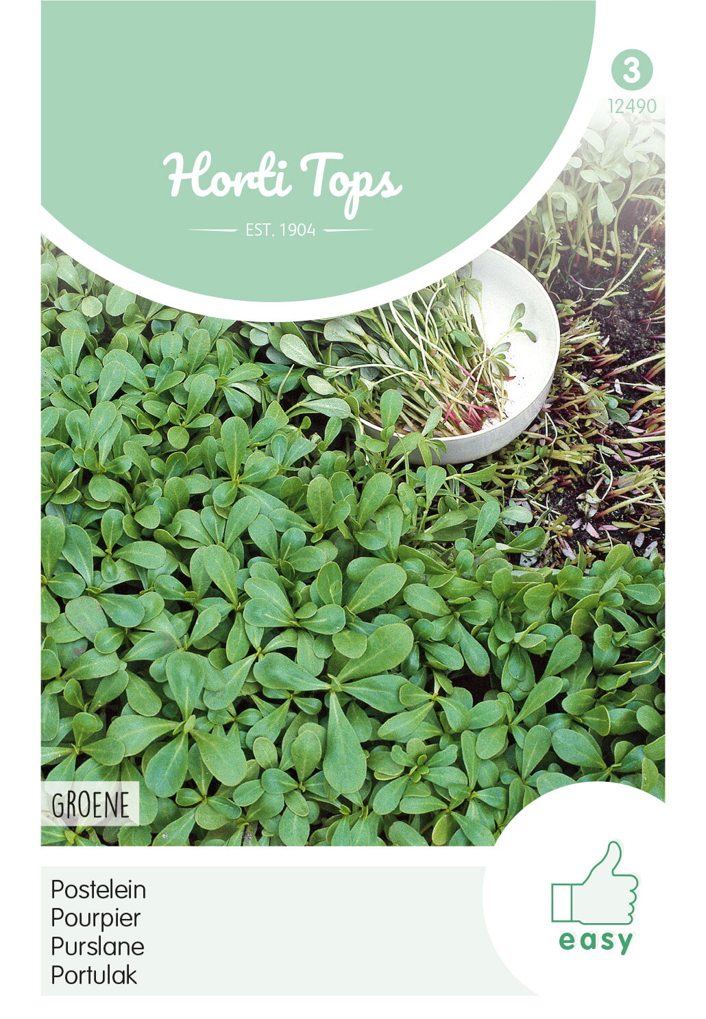 Horti Tops Portulak Grüner