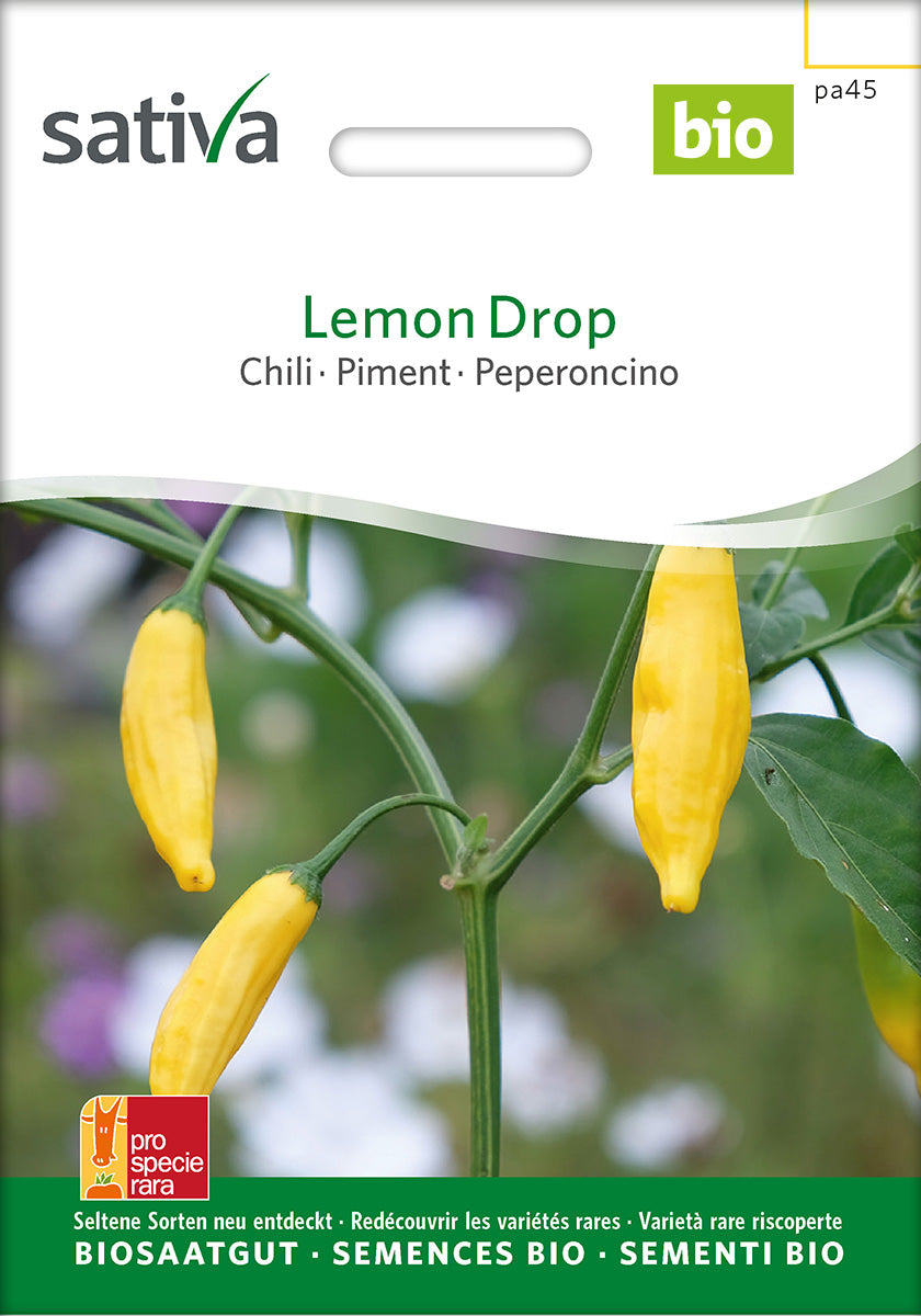 Sativa Chili Lemon Drop