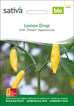 Sativa Chili Lemon Drop
