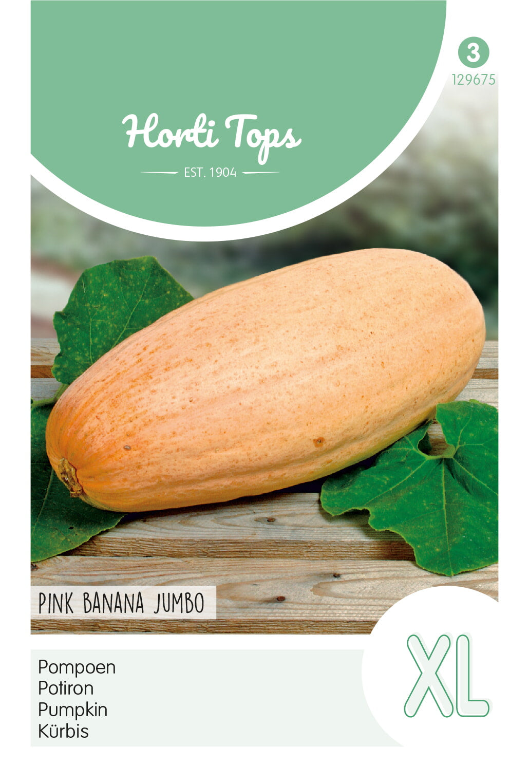 Horti Tops Kürbis Pink Banana Jumbo