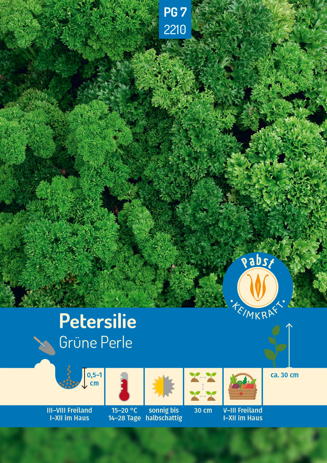 Pabst Keimkraft Petersilien Grüne Perle