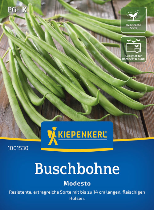 Kiepenkerl Buschbohnen Modesto