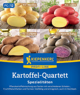 Kiepenkerl Pflanzkartoffel Quartett Spezialitäten 12 Stück
