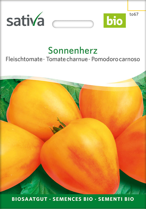Sativa Fleischtomate Sonnenherz