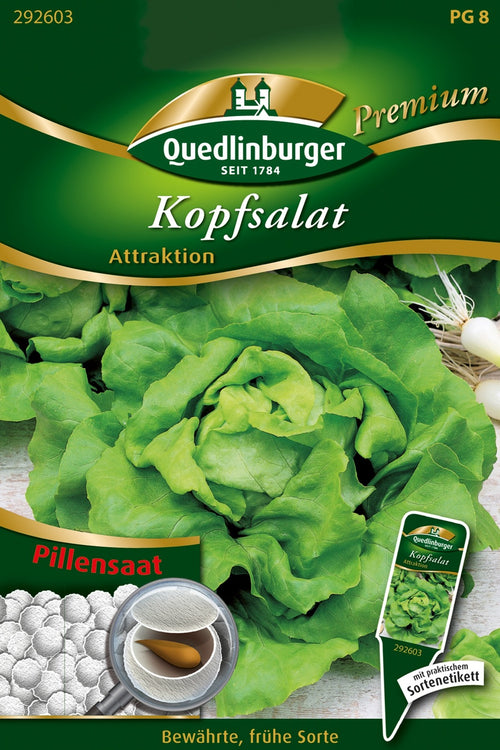 Quedlinburger Kopfsalat Attraktion Pillensaat
