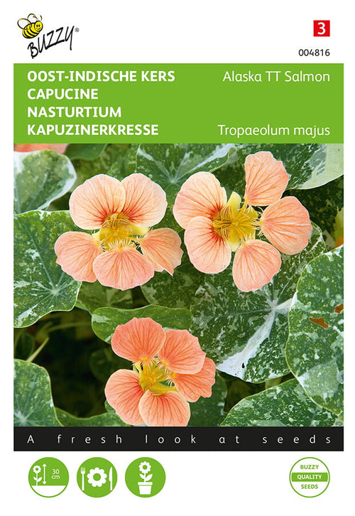Buzzy Seeds Kapuzinerkresse Alaska Salmon