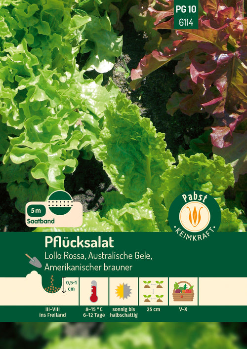 Pabst Keimkraft Pflück- & Schnittsalat Lollo Rossa, Australische Gele, Amerikanischer Brauner Saatband