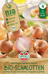 SPERLI BIO Rote Schalotte Red Sun 10 Stück