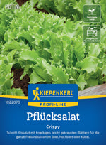 Kiepenkerl Pflück- & Schnittsalat Crispy