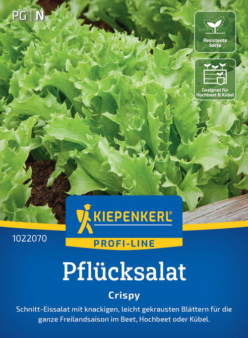 Kiepenkerl Pflück- & Schnittsalat Crispy