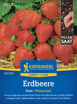 Kiepenkerl Erdbeeren Elan Pillensaat