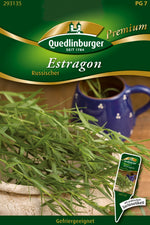 Quedlinburger Estragon Russischer
