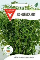 Frankonia Samen Bohnenkraut