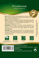 Quedlinburger Prunkwinde Summer Sky Mix