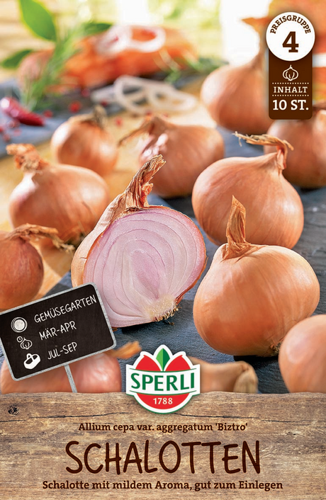 SPERLI Schalotte Biztro 10 Stück