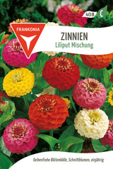 Frankonia Samen Zinnien Liliput Mischung